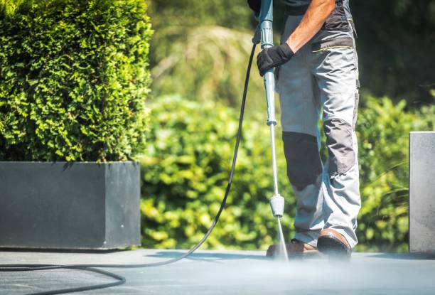 Best Patio and Deck Pressure Washing  in Holtville, AL